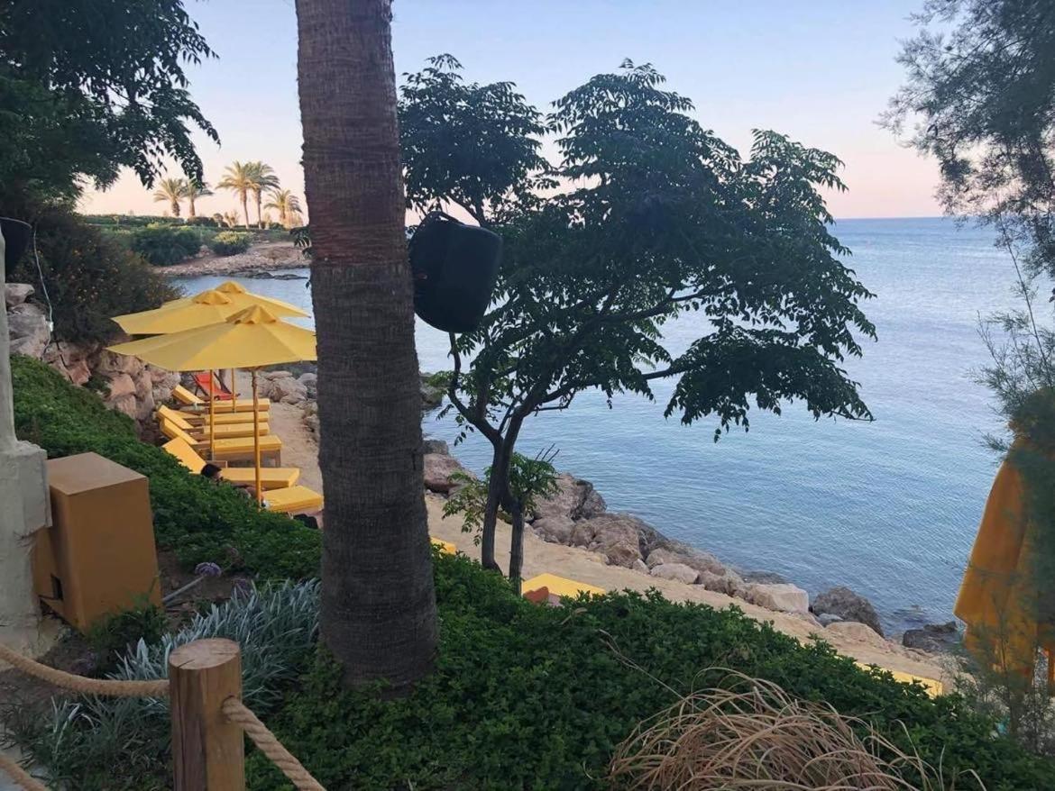 Iliada Beach Hotel Протарас Екстериор снимка